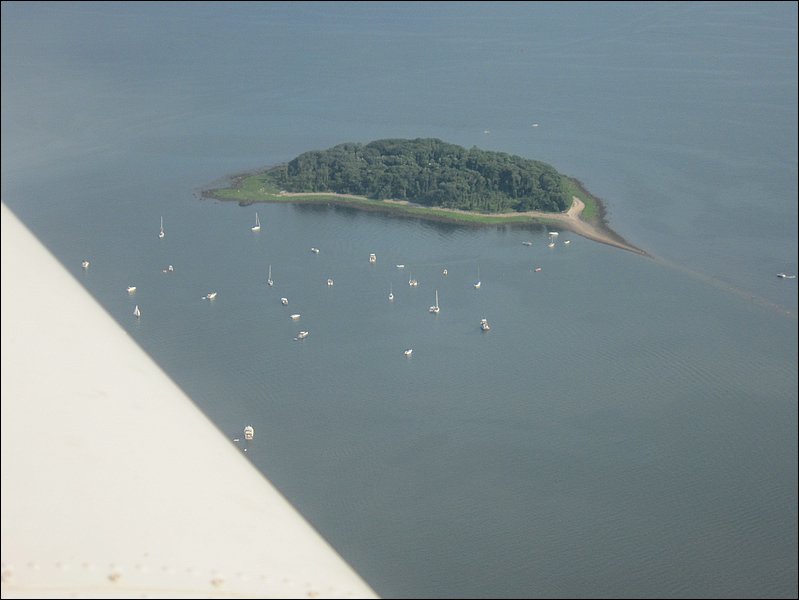 A little regatta
        off Charles Island